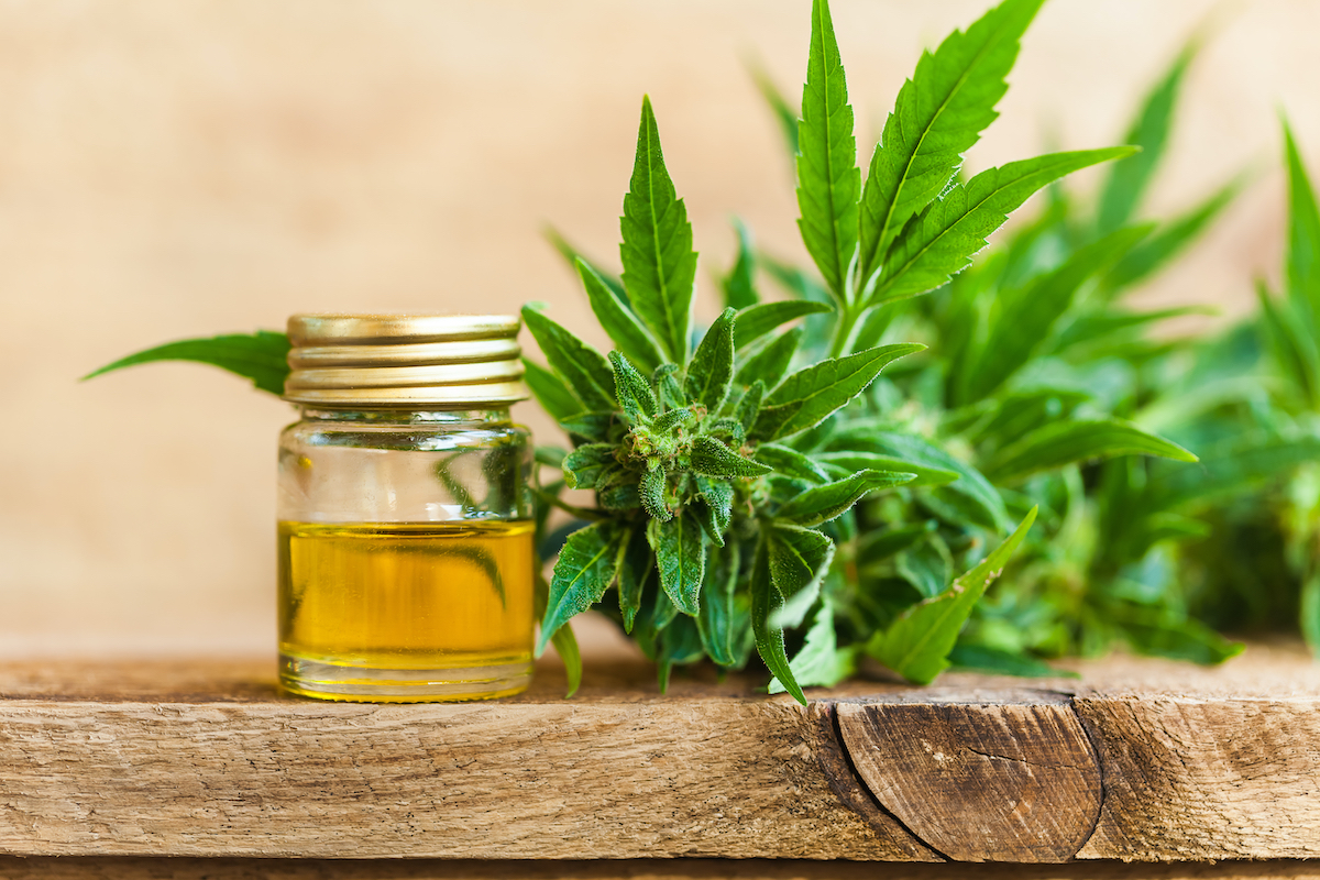 La légalisation du CBD : un constant sujet de tension entre les professionnels et le gouvernement￼