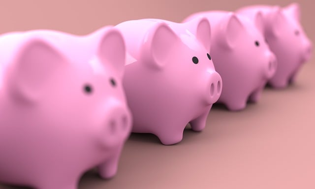 Les modalités de financement d'une SARL