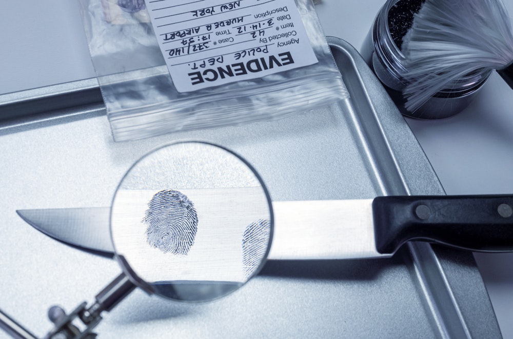 Le casier judiciaire et les procédures de radiation des listes de membres d'une profession réglementée : quelle est la portée juridique ?