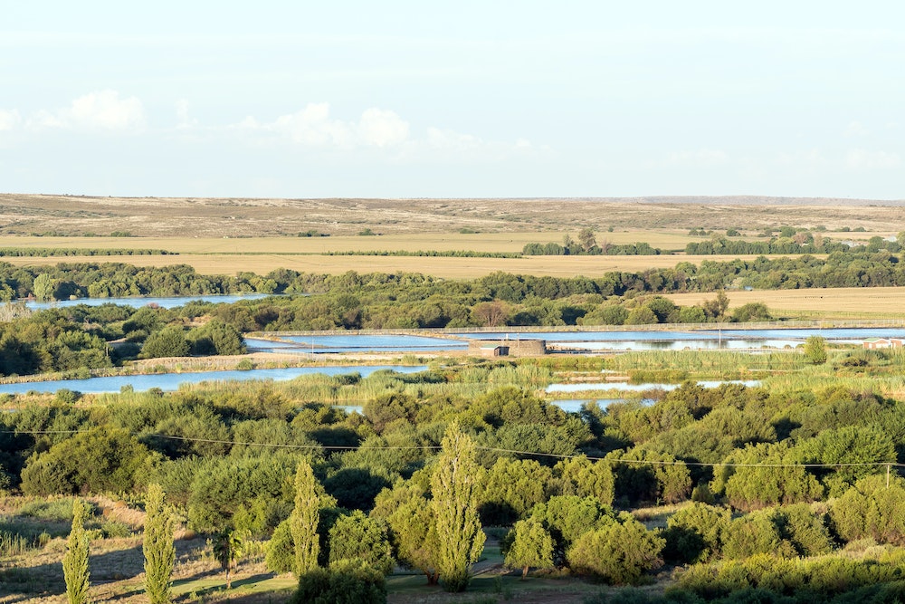 La loi Assainissement des eaux usées domestiques : un enjeu crucial pour la protection de l'environnement et de la santé publique