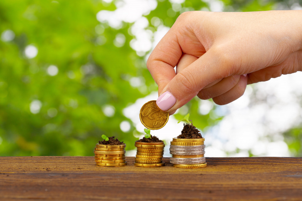 Le Comité Social et Économique : enjeux, fonctionnement et rôle