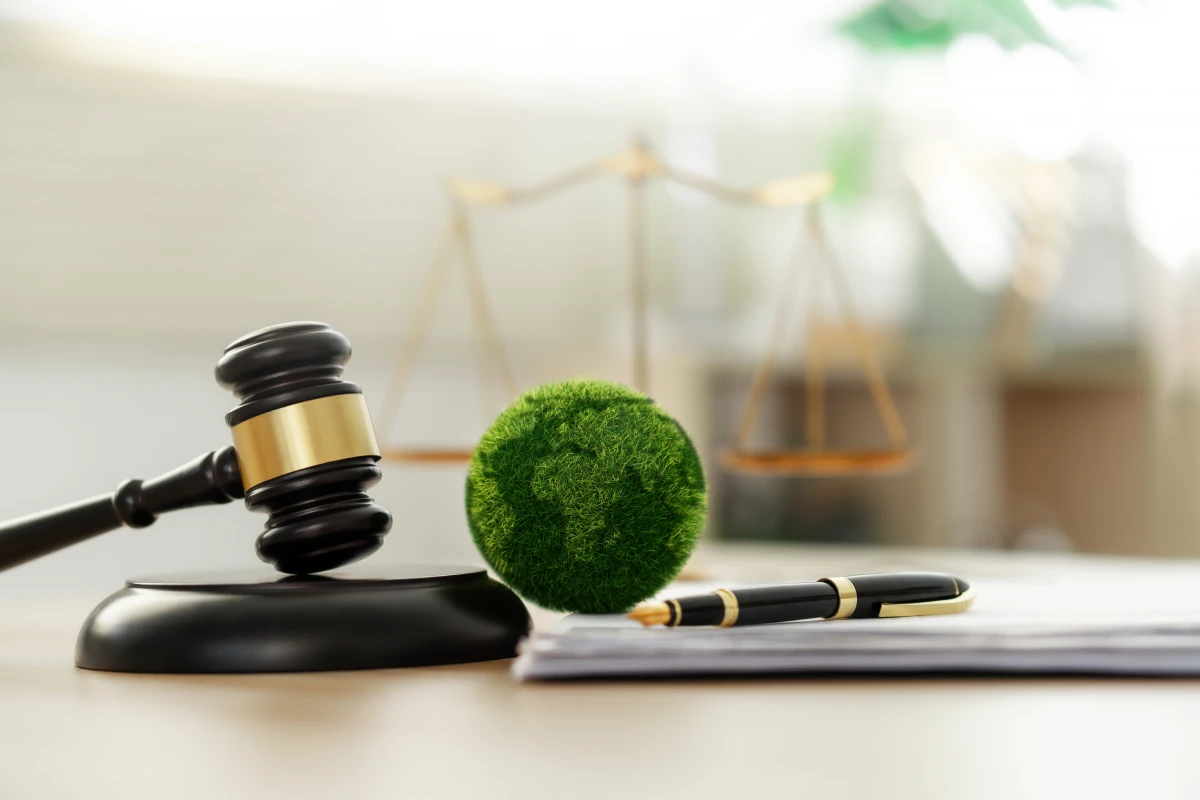 Le rôle crucial du droit international dans la protection de l'environnement