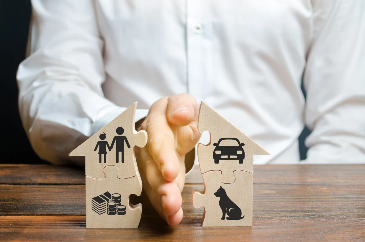Divorce et garde des animaux de compagnie : Quand Médor devient un enjeu juridique
